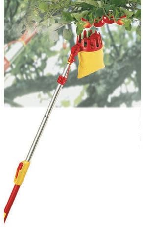 Miniatura 4 de WOLF-Garten RGM Multi-Change - Cabezal de herramienta ajustable para el cuidado de árboles, color rojo