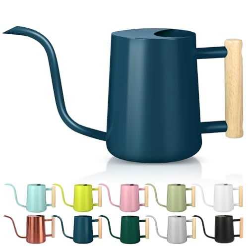 Watering Can Indoor Plants, 35oz Small Stainless Steel Metal Watering Can Modern Decorative Watering Pot with Long Spout for Indoor House Plant Bonsai Garden Flowers (Dark Blue)