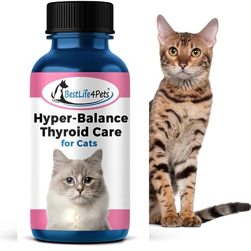 Our 10 Best Thyroid For Cats Reviews In 2023 Glory Cycles