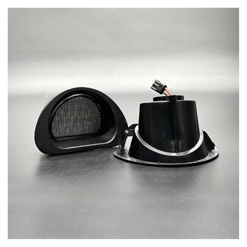 Luz Placa Auto LED de Alta Luminosidad para Citroen C1 Trasera 4