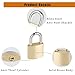 6Pack Small Locks with Same Keys, 0.98Inch (25mm) Wide Lock Body Solid Brass Padlocks Keyed Alike, Mini Padlocks for Suitcases/Luggage/Backpacks/Tool Box/Diary Books/School lockers etc.
