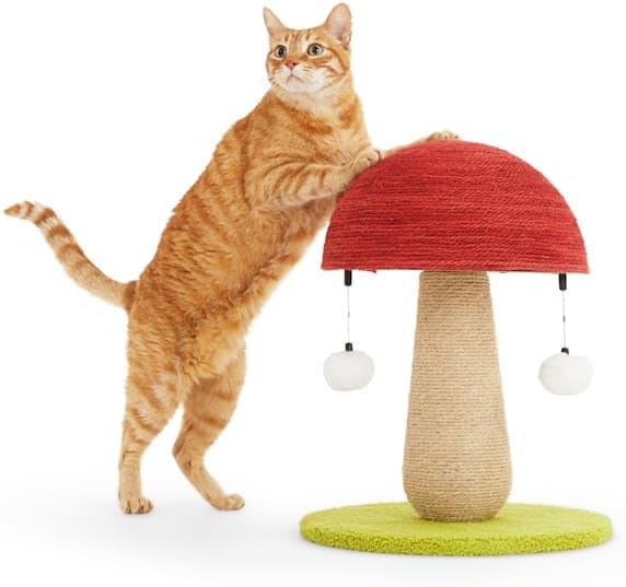 EveryYay by Petco Toadstool Scratch Post for Cats