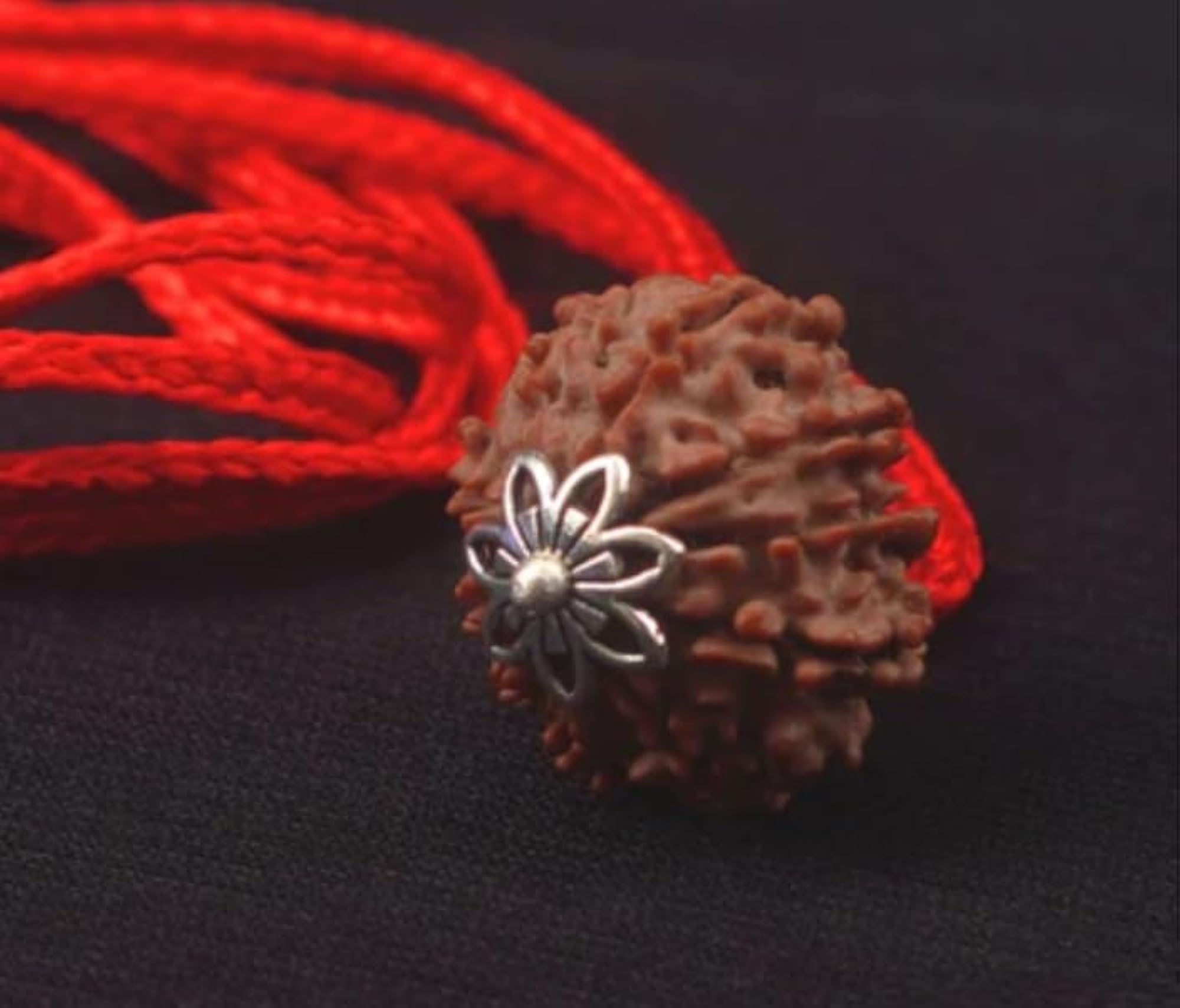 7 Mukhi Rudraksha Pendant with Silver Capping, Certified
