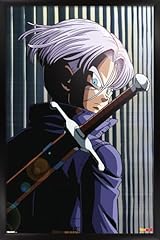 Black Framed Version