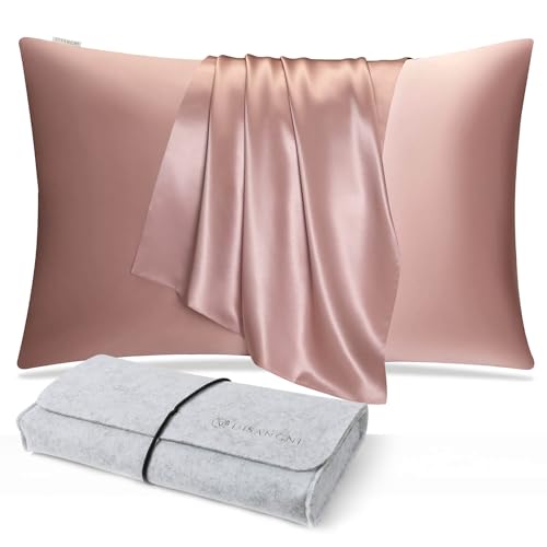 DISANGNI 100% Natural Mulberry Silk Pillow case for Hair and Skin with Hidden Zipper 22 Momme Both Sides Real Silk Pillow Case (1pc Standard Size 20 x26 Pink)