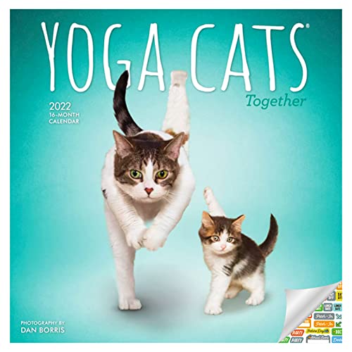 Yoga Cats Together Calendar 2022 -- Deluxe 2022 Yoga Cats Wall Calendar Bundle with Over 100 Calendar Stickers (Yoga Cats Gifts, Office Supplies)