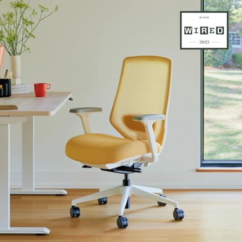 Image of Branch Ergonomic Chair Pro, Mesh Office Chair with 14 Points of Adjustment | Height, Depth and Tilt Adjustable, 5D Armrests, Forward Tilt, Smooth Recline, and Lumbar Support, Spark
