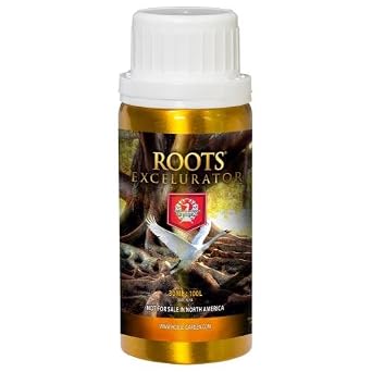 House & Garden Roots Excelurator Gold House and Garden Root Excelurator Gold 100 ml 16/Cs