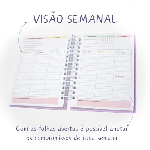 Planner Semanal Sem Data - Visão Mensal E Visão Semanal