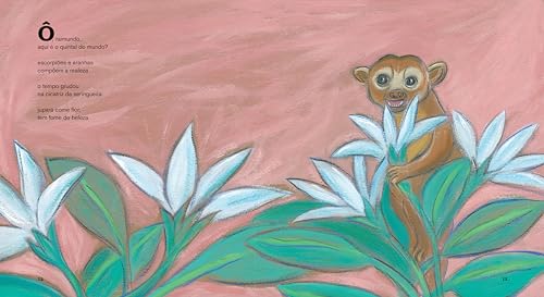 Sinfonia da Amazônia