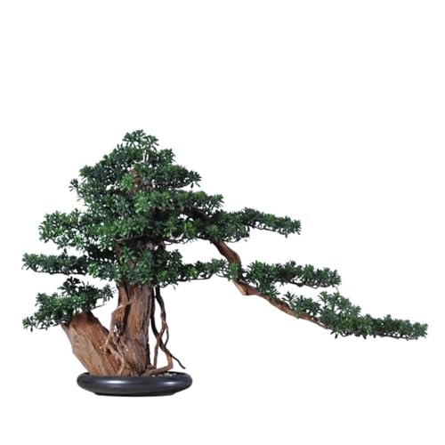 ~  V~[V ΂̐A A rO[  Vzj Mtg 