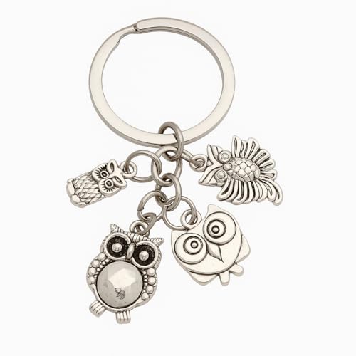 Owl Keychain with 4 Vintage Owl Charms, Creative and Unique Accessory for Bag Charms Funny Keychains Gift for Women Animer Lover Girls