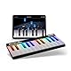 Gemini Sound PianoProdigy – Beleuchtete 24er Bluetooth-Tastatur – Tragbares und erweiterbares Piano für angehende Musiker – MIDI-Funk-Controller für iOS/Android-Geräte (erfordert eine App)