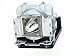 Replacement Lamp for TDP-TW350U Projector (TLPLW13)