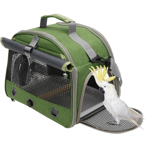 Bird Travel Carrie Cage de transport portable pour petits animaux avec perchoir et fenêtre latérale pour perruches, perroquets, pigeons, hamsters et lapins Vert 33 x 22 x 26 cm