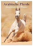Arabische Pferde • Geschöpfe des Windes (Wandkalender 2026 DIN A4 hoch), CALVENDO Monatskalender: Die edlen Pferde der arabischen Wüste (CALVENDO Tiere)