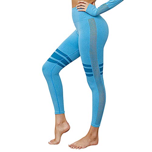DONPEREGRINO Leggings Deportivos Mujeres Cintura Alta Elásticos & Respirables, Chandal Mujer sin Costura sin para Correr, Yoga, Pilates y Fitness (Azul, M)