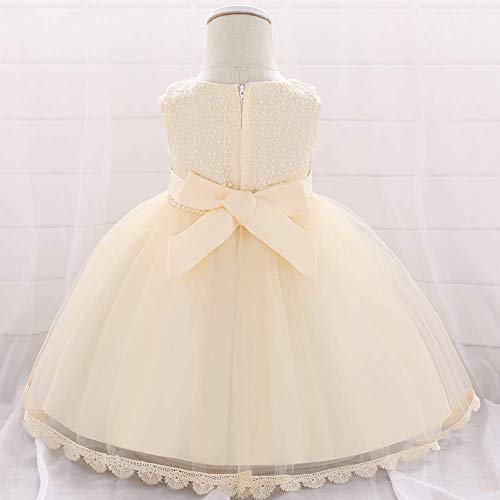 Baby Girl Lace Flower Tutu Dress Summer Sleeveless Floral Emboridered Beaded Ruffle Tulle Gown Wedding Birthday Champagne 18-24 Months #TOP2
