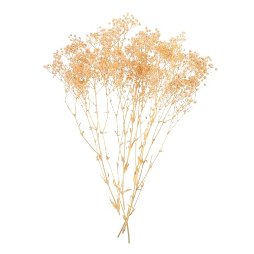 Ramo de flores secas Babysbreath para decoración