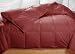 Cranberry Brick Red Colored Feather Down Comforter - Queen Size