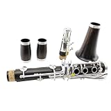 Con su hermoso tono y su forma de tocar sin esfuerzo, este clarinete ofrece un sonido completo, cálido, estable, puro y vibrante, lo que lo hace ideal para principiantes.
