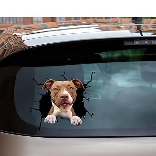 American-Bully-Stickers-American-Bully-Car-Decal-Back-Weatherproof-Tractor-Sticers-for-Women-Love-3D-Outdoor-Stickers