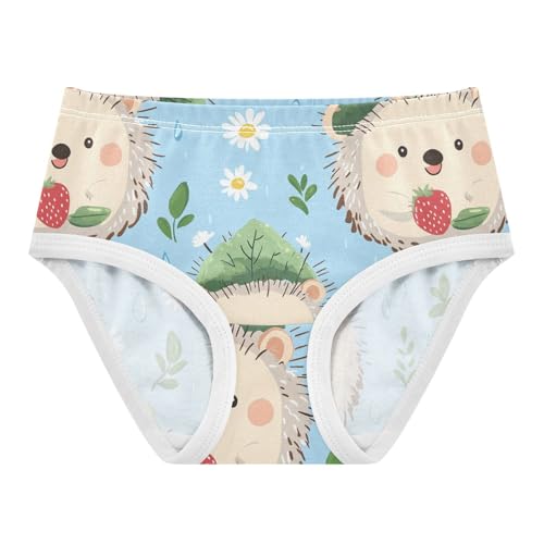 Wusikd Cute Hedgehog Girls' Underwear Cotton Green Leaf Girls Briefs Soft Toddler Underwear 2T