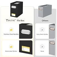 BALEINE 2PK File Organizer Box, Cardboard File Folder Organizer with Handle — image 5