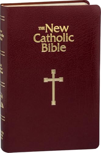 Ncb Gift & Award Bible [Imitation Leather] Catholic Book Publishing Corp