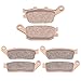 AHL Front & Rear Brake Pads Set for Honda CBF600 NA4/NA5/NA6/NA8/NA9 (ABS Models) 2004-2006 (Sintered copper-based)