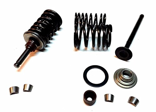 Valve Assembly Rebuild Kit 150cc Yerf Dog Spiderbox Gx150 Go