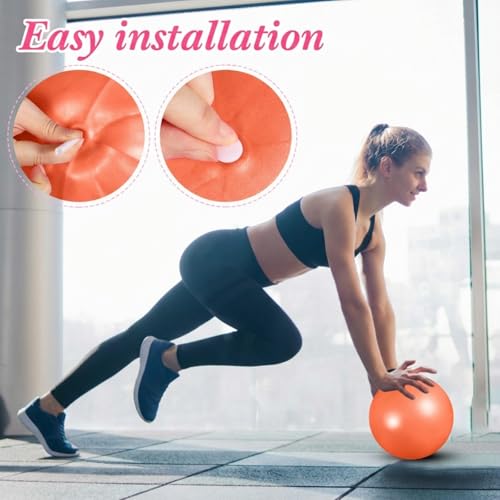 Image of Aoriher 10 Pack 9 Inch Small Pilates Ball Bulk Mini Exercise Ball Portable Non-Slip Workout Yoga Balls with Air Pump for Stability, Barre, Fitness, Balance, Physical &Core, Gym Home Office Use