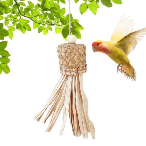 ̃uRނ | IẼV̗t邨 | IÊAV̗t̃`[COJbv̂AgERV̔Ŕj󂷂ދ~ϗpi ړIANZT[ CRA^IEAuo[hAZLZCCRAIJCR