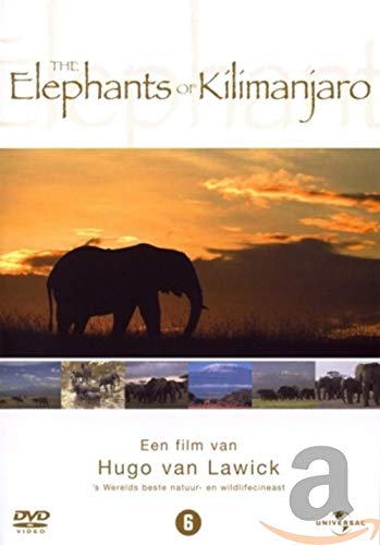 Elephants Of Kilimanjaro