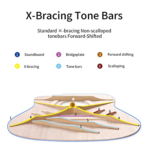 Rosen G31 Dreadnought Acoustic Guitar Black Soild Mahogany Top 41 Inch Guitarra Full Size Cutaway With Gloss Finish Bundle Starter Kit With Gig Bag, Tuner, Strings, Strap, And Picks #TOP2