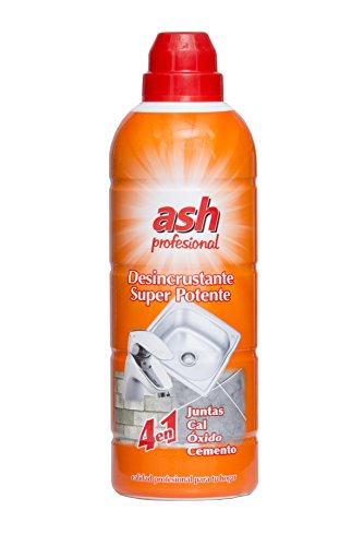 QUITACEMENTO/ANTICAL Ash Prof 750 ML