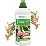 Purgrün