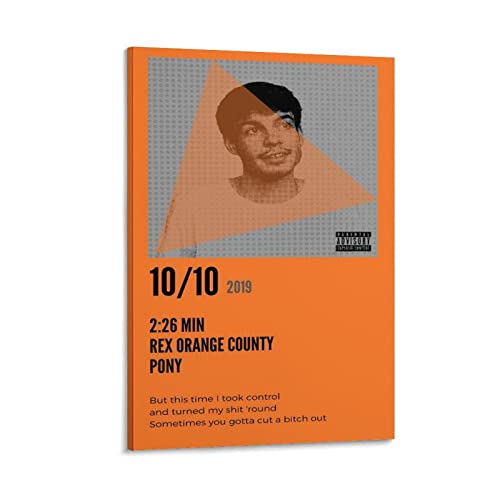 Poster Rex Orange County cadeau idéal en toile pour fan de musique pop 2019