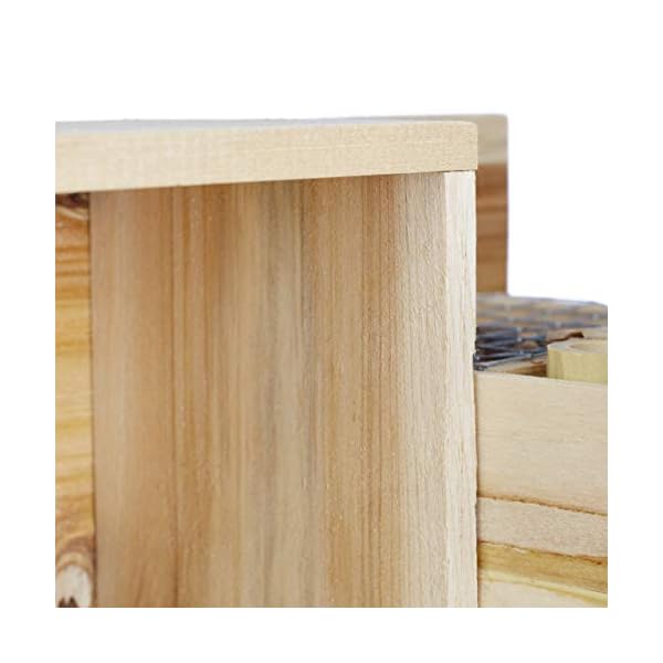 Relaxdays Blumentopf Bienenhotel, 2 in 1 Nisthilfe mit Übertopf, Pflanztopf Kräuter Blumen, Holz, HBT 26x24x12 cm, Natur – Bild 7