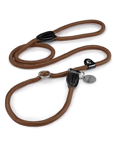 lionto Guinzaglio Retriever Guinzaglio per Cani Guinzaglio Formazione Cani, Lunghezza 170 cm Marrone