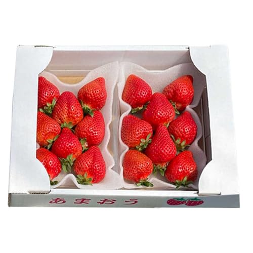 [先行予約][2月-4月発送]あまおう 厳選デラックスG 540g (270g以上 × 2 パック) 土耕栽培