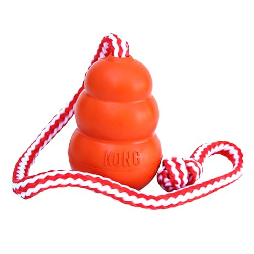 KONG Aqua Floating Fetch Toy - Hundespielzeug Für Wasser, Spiel und Training - Mit Schaumstoff-Innenseite und Wurfseil - Für Große Hunde - Orange