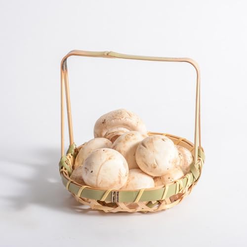 semillas de hongos - Macizo de hierbas, plantas decorativas, techo verde Hierbas de cocina, planta ajedrea planta de interior de cocina de jardín de hierbas hortalizas 50pcs