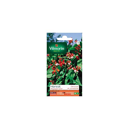 Vilmorin Jardin Haricot Espagne Varie Serie 1