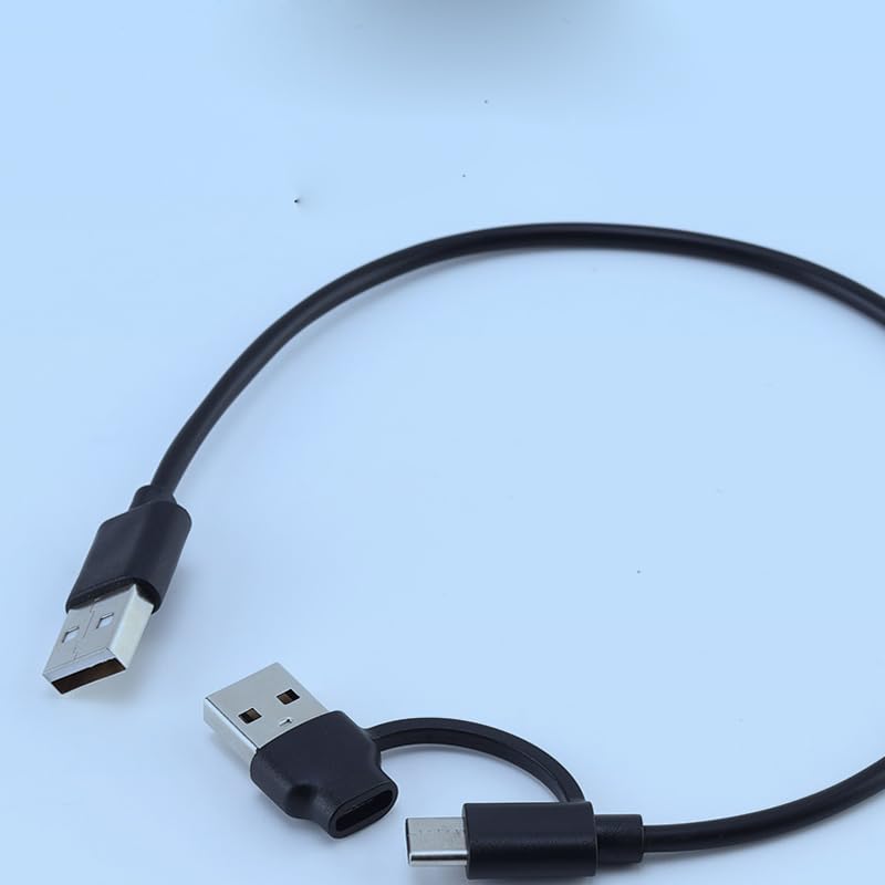 Amazon.co.jp: RecDec ポータブルSSDケーブル 交換用 2イン1 USB-C