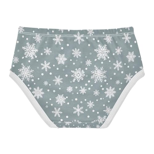 Snowflakes Blue Gray Panties for Girls, Toddler Briefs, Cotton Girls Underwear, 2–8 Years2