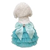 Wolyepor Princess Suspender Layered Dog Dress Tutu Gauze Skirt for Dogs and Cats (X-Small, Light Blu