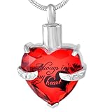 BIAIHQIE Colgante de Cristal de cremación con Forma de corazón para urna, Collar conmemorativo, Soporte para Cenizas, joyería de Recuerdo y Kit de Relleno - Rojo