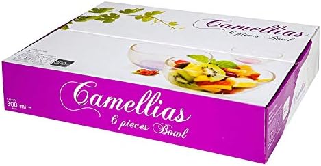 Camellias 6-Piece Glass Dessert Bowls Sundae Ice Cream Set Of 6 Appetiser Fruit Salads Pudding Glass Dishes Small Fruit Serving Starter Glass Bowls 300ml