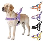 AIITLE Pettorina regolabile per cani migliorata con imbottitura morbida e confortevole, pettorina tattica anti-fuga, pettorina riflettente leggera per cani di taglia media Viola-Rosa M
